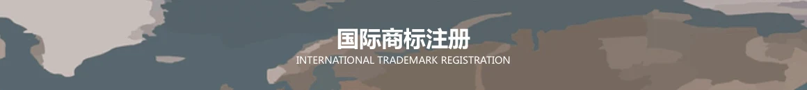 翼企航知识产权官网国际商标主题横图