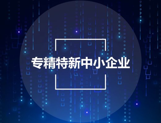君胜知识产权跨境知识产权服务