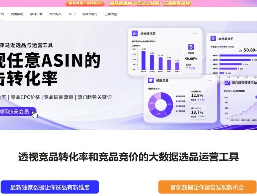 极目数据跨境数据分析服务