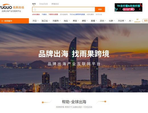 雨果跨境平台招商与运营陪跑服务