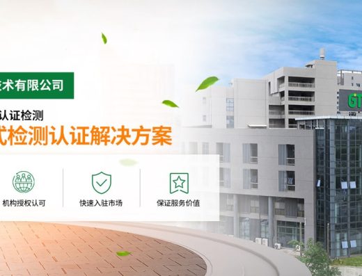 广东储能检测技术 服务场景