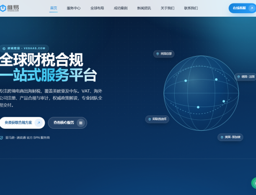 唐诚维易VESAAS公司注册、审计报税、税号申请服务 官网宣传图