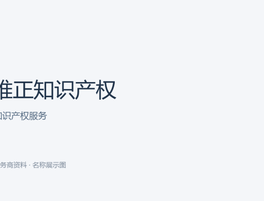维正知识产权 知识产权服务名称文字封面（本站制作，非官网宣传图）