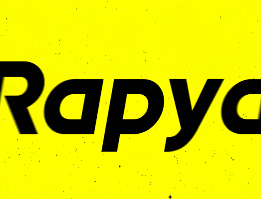 Rapyd官网图片（完整比例展示）