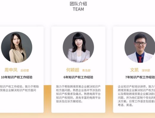 积特官网团队介绍节选
