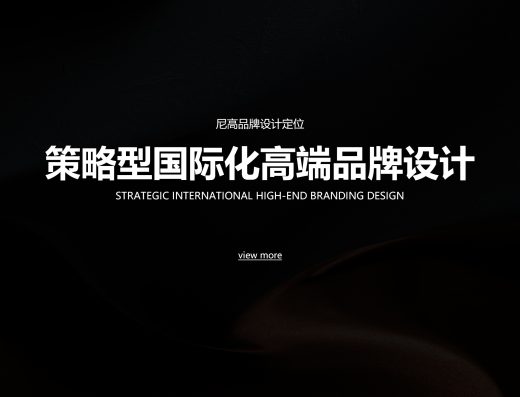 尼高官网品牌设计介绍原图