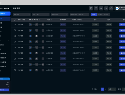 P1Browser官网环境管理产品界面示意图