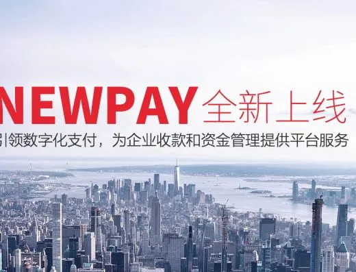 新生支付官网企业收款品牌主题图（城市为示意）
